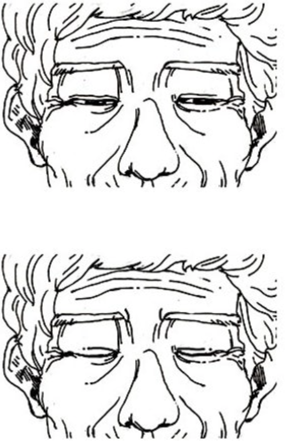 죽음에 관하여온라인 읽기