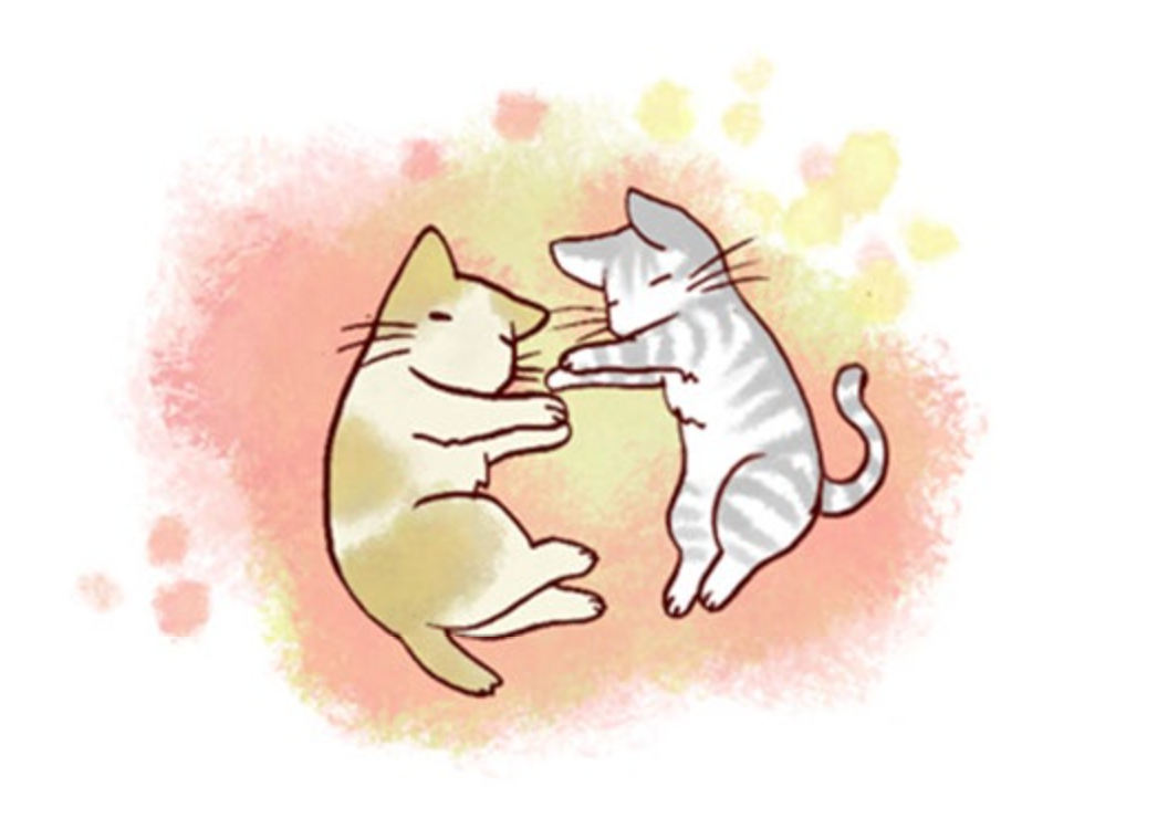 내 새끼 고양이와 늙은 개만화 소개